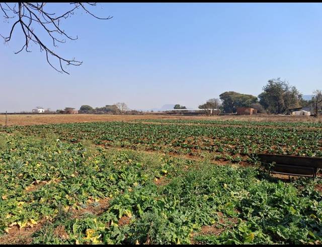 LAND FOR SALE IN RIETFONTEIN
